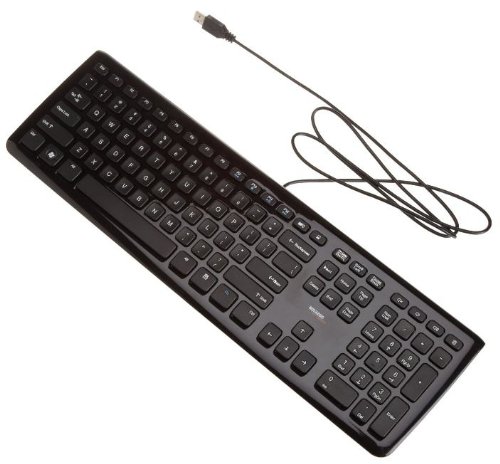 AmazonBasics Wired Keyboard