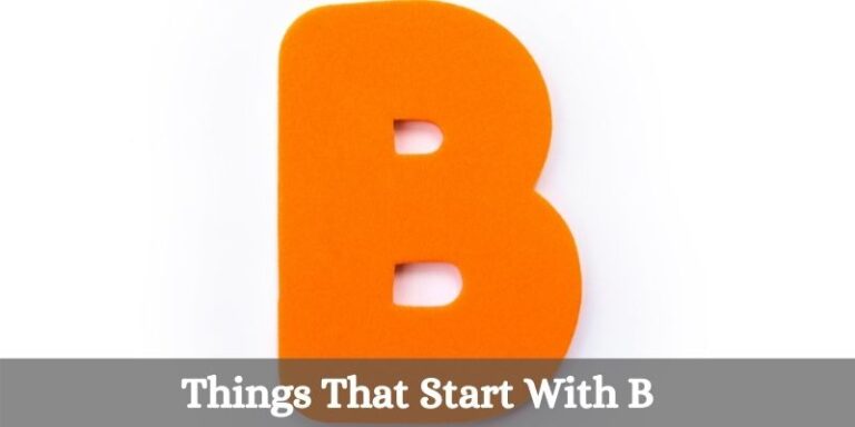 Things That Start With B