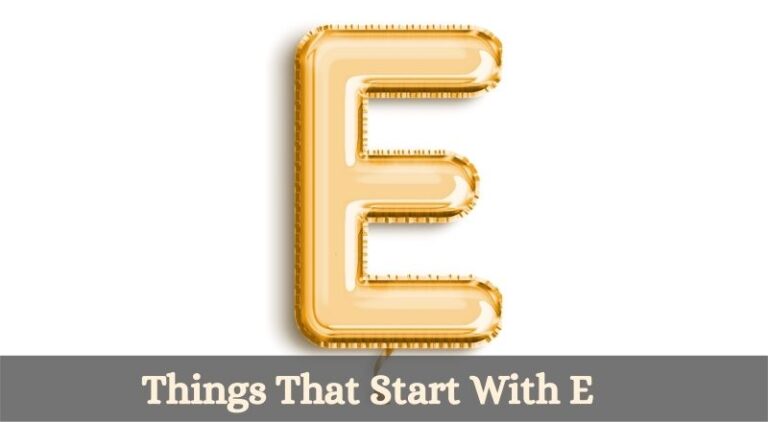 things that start with e