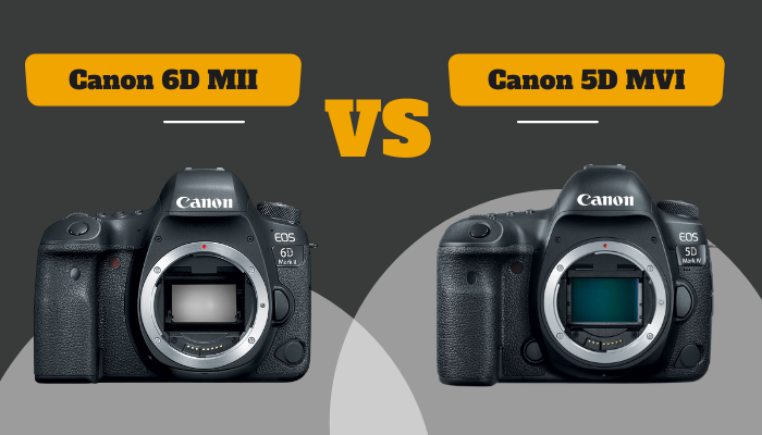 Canon 6D MII Vs Canon 5D MVI