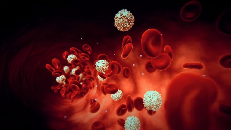 The Components of Blood cells