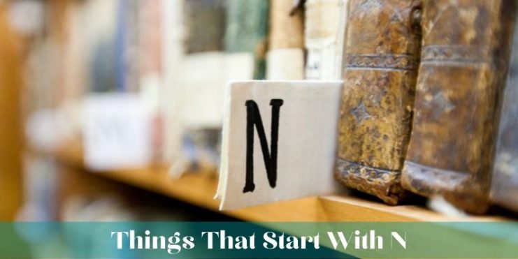 Things That Start With N