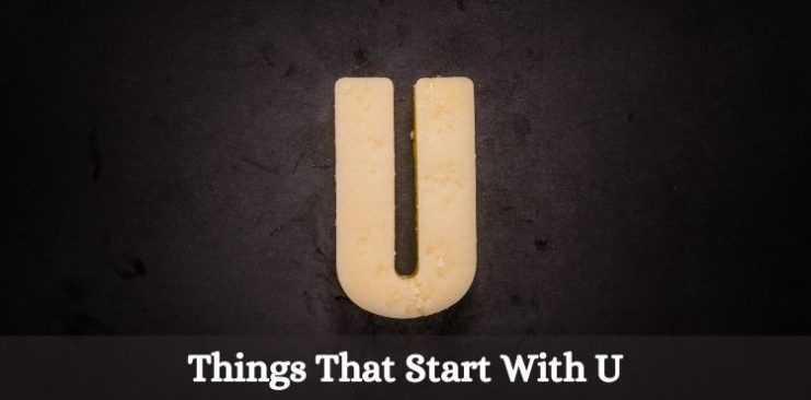 things that start with u