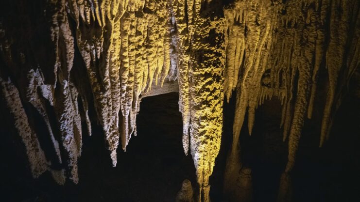 Mammoth Cave