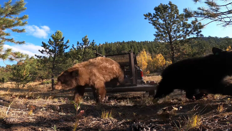 Colorado - Centennial State