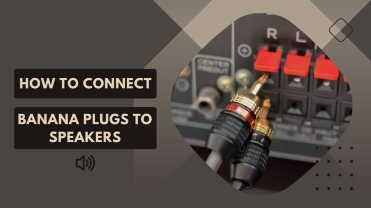 Connect Banana Plugs To Speakers - how to 101