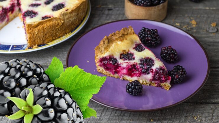blueberry pie on a lilac plate with blueberries on the side